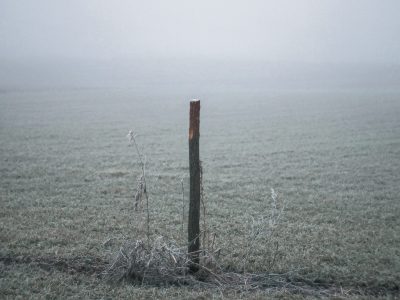 Poste de madera firme en un campo helado representando el anclaje físico en la meditación Anapanasati